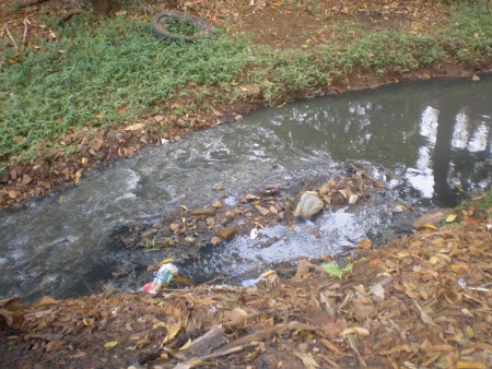 córrego Água Branca Distrito de Potunduva/Jaú.